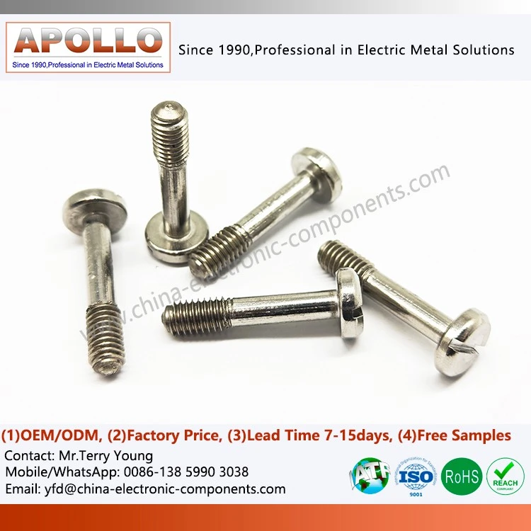 Slotted Cylindrical Head Screws