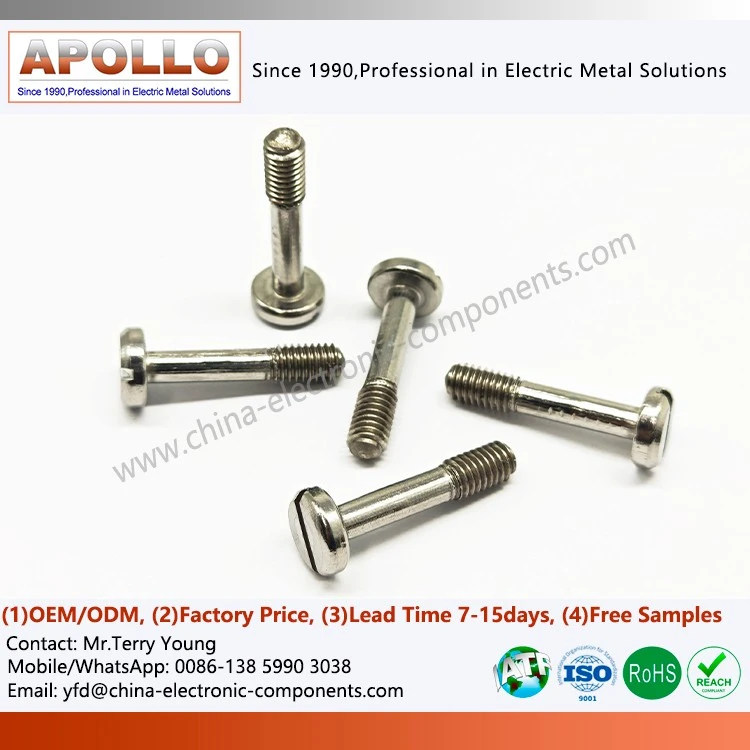Slotted Cheese Head Screws